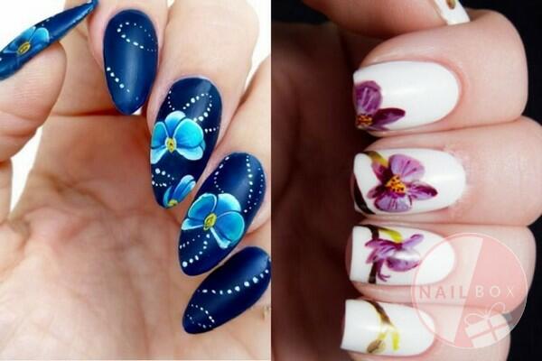 Top 5 những mẫu nail vẽ hoa đơn giản  Tự Tin Phái Đẹp  Kiến thức dành  cho phụ nữ hiện đại
